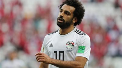 فيديو.. 