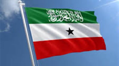 ماذا تعرف عن 
