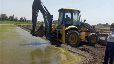 تحرير 167 محضرًا بعد حصر 845 فدانًا مزروعة أرز في الوادي الجديد