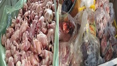 ضبط دجاج ولحوم وأدوية غير صالحة للاستخدام الادمي بـ