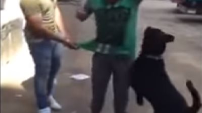 القبض على بطل فيديو تعذيب أحد الاشخاص بالكلب 