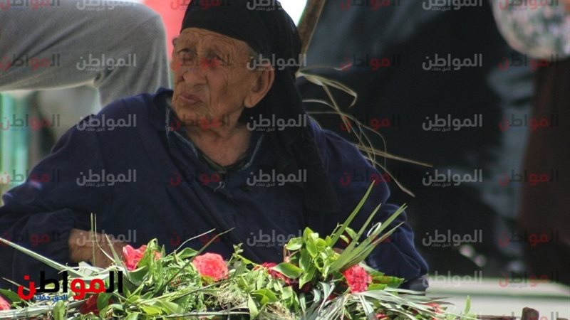 بائعة ورود القبور