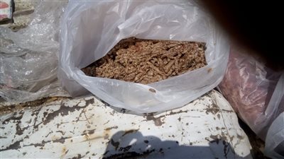 ضبط 15 كيلو لحوم فاسدة في حملة بيطرية بـ حي حلوان