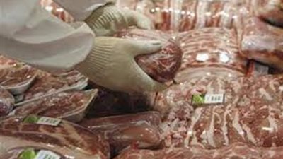 ضبط 72 طن مواد غذائية مجمدة غير صالحة للإستخدام الآدامي بالإسكندرية 