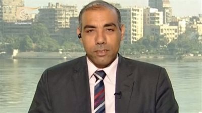 أستاذ العلاقات الدولية أيمن سمير لـ