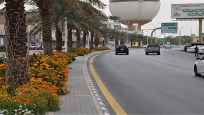 تعرف على الحالة المرورية في شوارع الجيزة صباح اليوم الجمعة