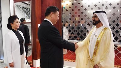 فيديو.. رئيس الإمارات يقلد الرئيس الصيني بـ 