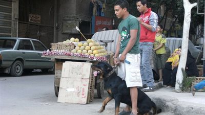 عاطل يقتل جاره لمعاتبته على معاكسة أمه باستخدام كلب