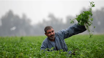  ثورة 23 يوليو.. ذكرى خلاص الفلاح من ظلم الإقطاعية 