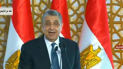 وزير الكهرباء: 4800 ميجا وات قدرة محطة الكهرباء في العاصمة الإدارية