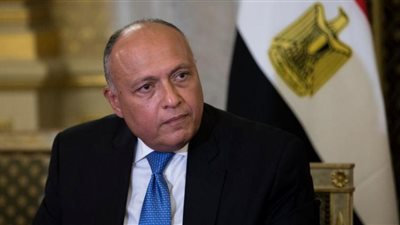 وزير الخارجية الأمريكي يشيد بدور مصر في تحقيق الاستقرار بالمنطقة