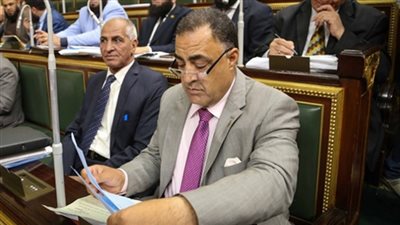 البرلمانى إلهامي عجينة: موافق على الحكومة.. وسأعطيها جائزة هي ورئيسها