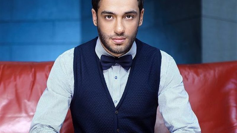 الفنان رامي جمال