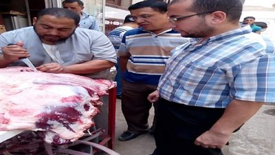 حملة بيطرية على محلات الجزارة والثلاجات بنطاق مركز ومدينة قليوب
