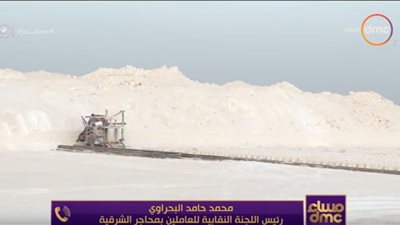 فيديو..رئيس اللجنة النقابية للعاملين: العمل يسير على النظام العسكري