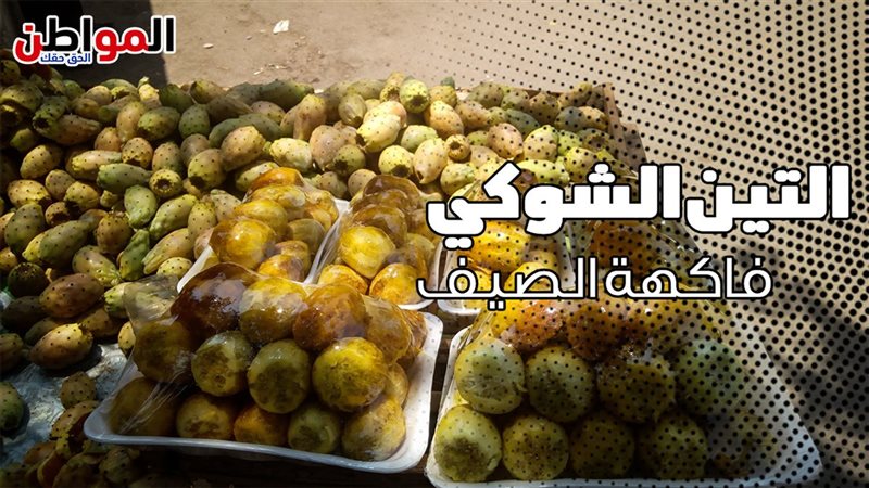 المواطن