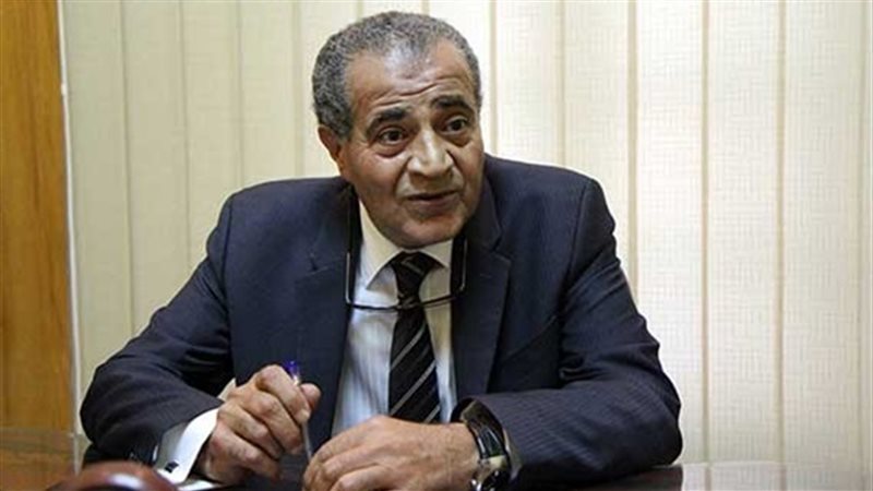  الدكتور على المصيلحى