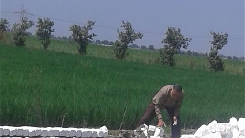 حملة إزالة-محافظة