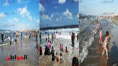 مسئول إعلام بلطيم لـ