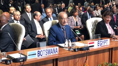 شريف إسماعيل يطالب بحشد التطور التكنولوجى لدعم الدول النامية