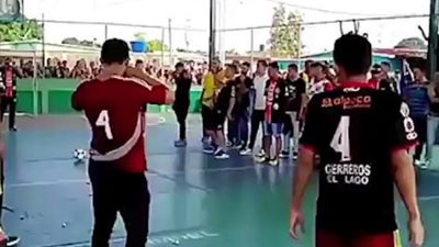 فيديو| 