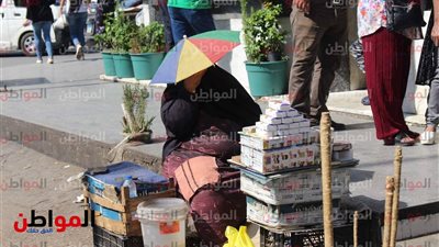 كاريكاتير: الحيرة في الحب بين الشتاء والصيف