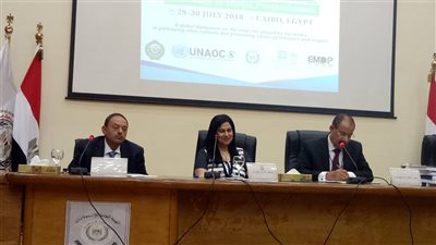 فيديو.. مدير مكتب اليونسكو فى القاهرة: سعيد بوجودنا فى مؤتمر جامعة الدول