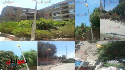 رئيس حي التبين لـ