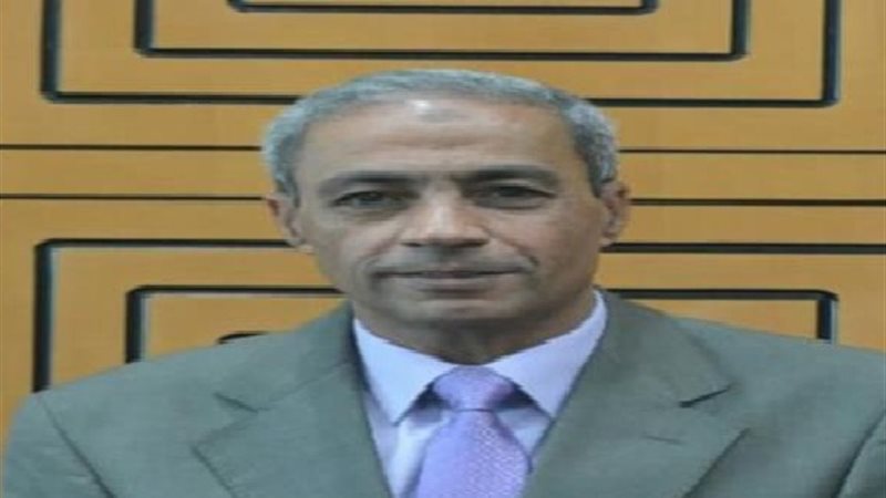عادل ثابت, رئيسا