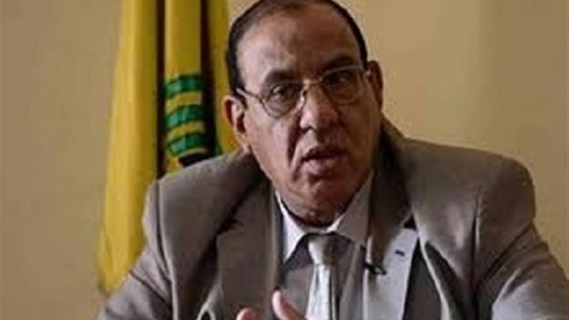 الدكتور طلعت عبد