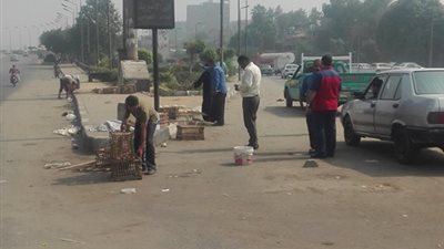 صور.. حي الأميرية يشن حملة لإزالة الإشغالات