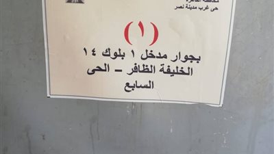 صور.. حي غرب مدينة نصر يشن حملة لترقيم الأكشاك المرخصة