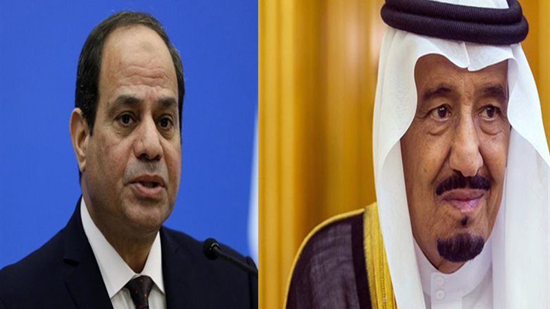 الرئيس السيسي والملك