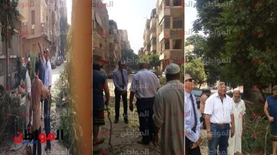 رئيس حي المعصرة لـ