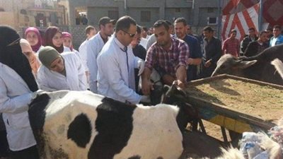 14 ندوة بيطرية إرشادية لمزارعين بـ الوادي الجديد 