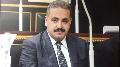 نائب الجيزة: البطالة كابوس البيوت المصرية ولابد من دعم المشروعات المتناهية الصغر للشباب