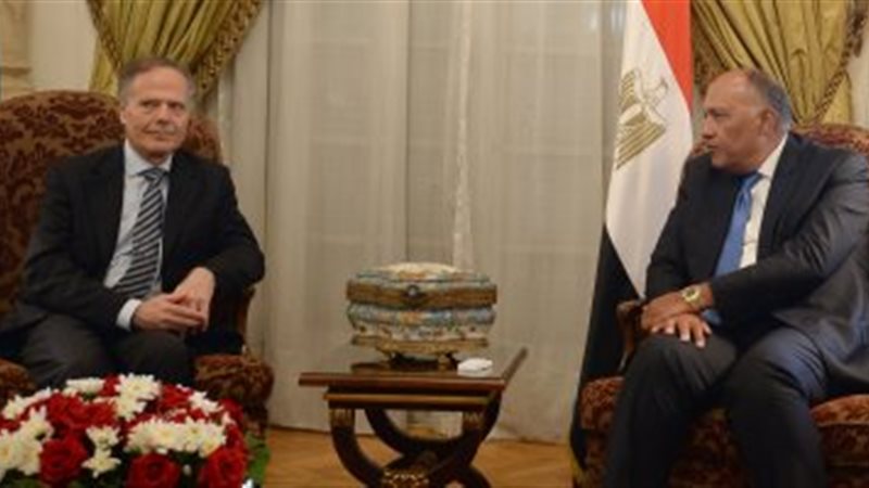 ذوزير الخارجية المصرى