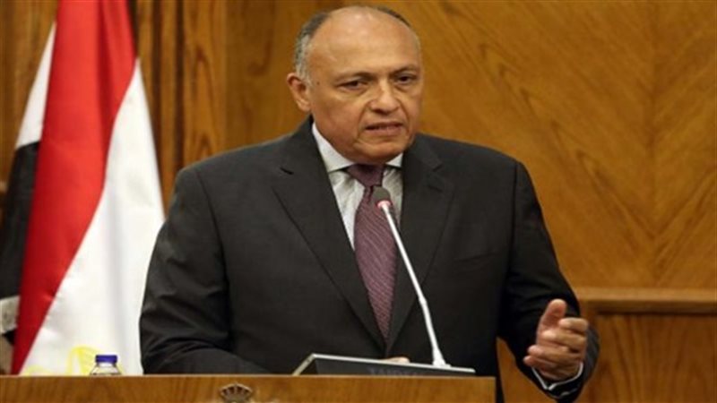 سامح  شكري وزير الخارجية