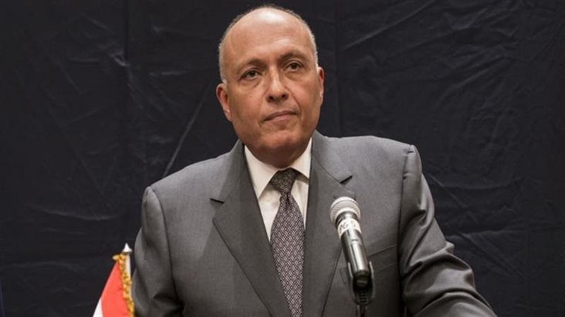 سامح شكري وزير الخارجية