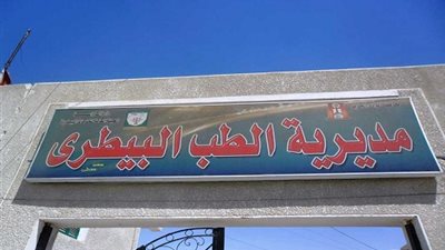 غدًا الاثنين.. استكمال الحملة القومية لتحصين الماشية ضد الجلد العقدي بـ الوادي الجديد