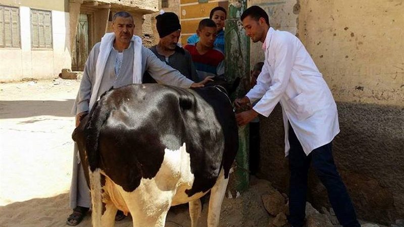 حملة بيطرية 