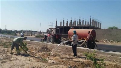 زراعة 327 شجرة بـ أبو حمص خلال مبادرة 