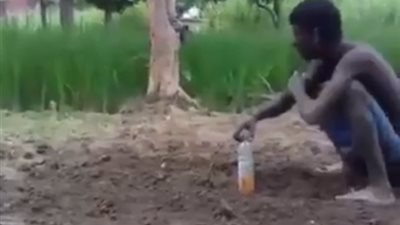 فيديو.. لقطات طريفة حيرت أصحابها تعرف عليها