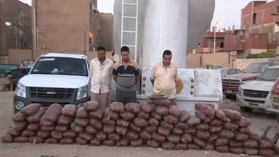 فيديو.. ضبط 3 أشخاص بـ الإسماعيلية لقيامهم تهريب كميات كبيرة من نبات البانجو