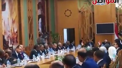 فيديو.. الدبلوماسية المصرية تُطلق مشروع ربط القبائل المصرية السودانية