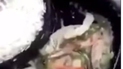 فيديو.. تصرف 