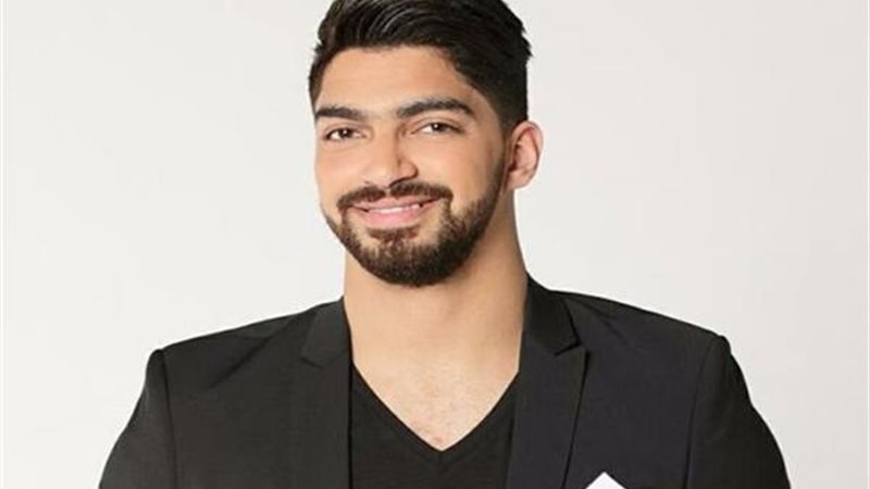الفنان مينا عطا 