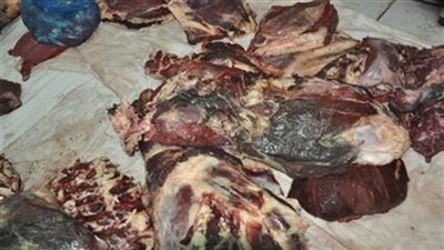 ضبط لحوم غير صالحة للإستخدام الأدمي وسلع مجهولة المصدر بأسواق الإسكندرية