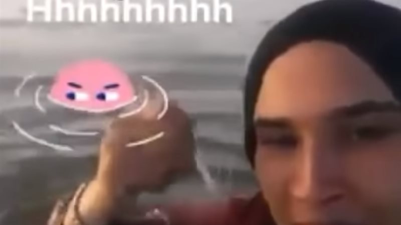المواطن