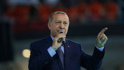 أردوغان يدعو الأتراك للتخلي عن الدولار.. والشعب يرفض